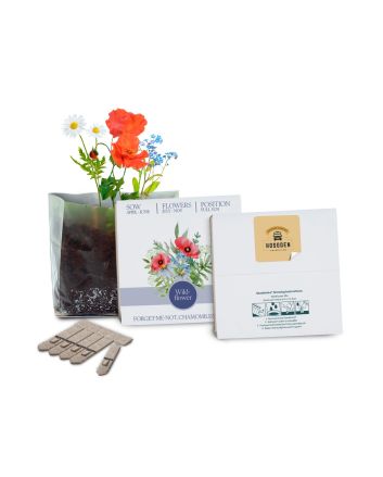 Essentials Letterbox Gardens