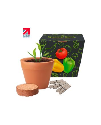 Recycled Pot Gardens