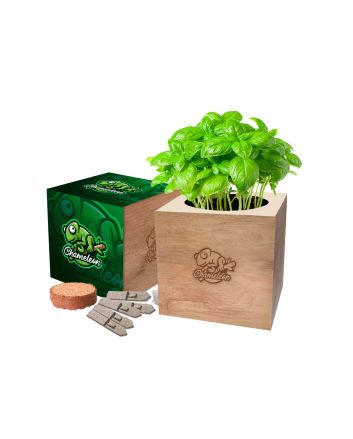Desktop Cube Gardens