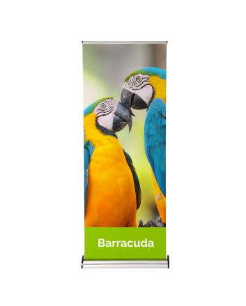 Barracuda Large Pull Up Banner - 2000mm