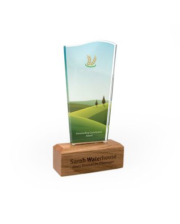 Wave Acrylic Award 125mm x 225mm With 28mm Wooden Base