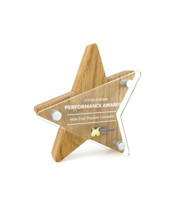 Rising Star Award 158mm x 175mm With Acrylic Front