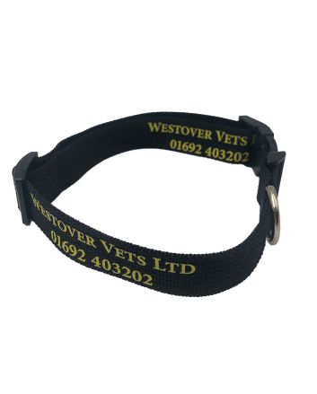 Printed Recycled PET Dog Collar