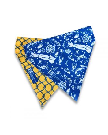 Dog Bandana