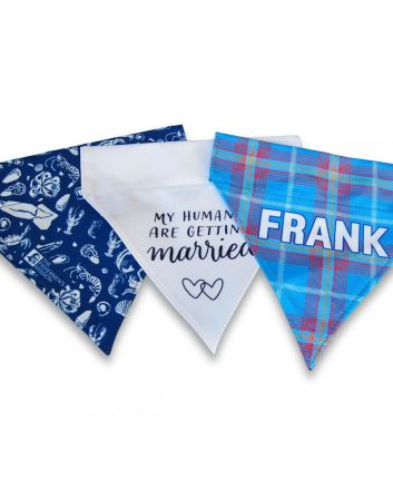 Dog Bandana