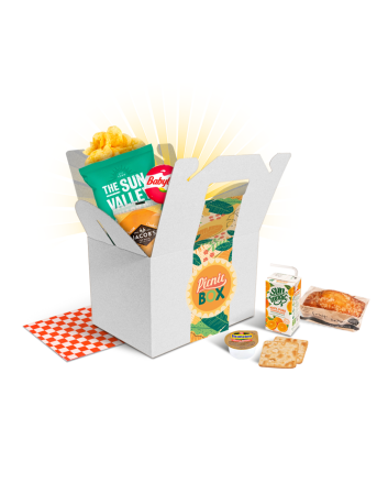 Gift Boxes - Carry Box - Picnic Edition