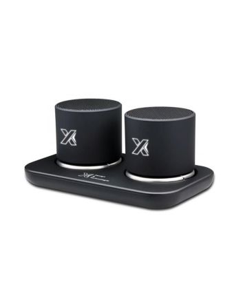Double Speaker Ring