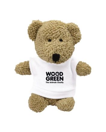 5 Inch Beanie Bear and T-Shirt