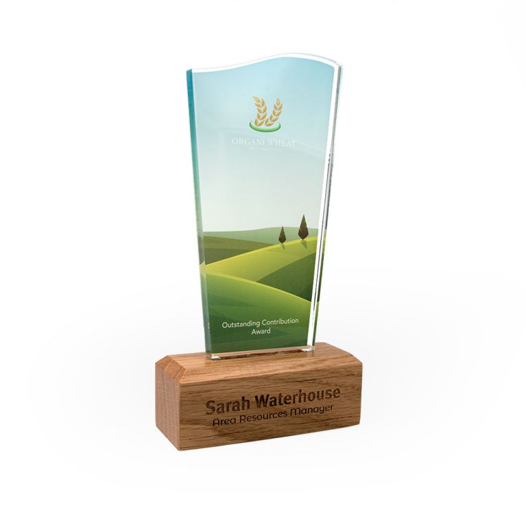 Wave Acrylic Award 125mm x 225mm With 28mm Wooden Base