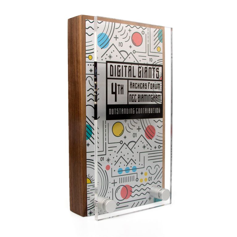Oblong Award 95mm x 175mm With Metal Plate & Acrylic Front