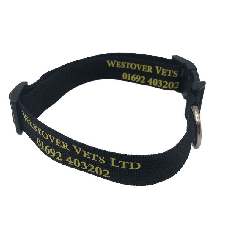 Printed Recycled PET Dog Collar